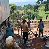 Ethiopia Oromia Region Guji Hambela Gorobedessa Natural (Medium roast) 200g