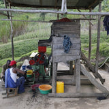 Machiazo Kabinanahiru,盧安達西部地區恩戈羅雷羅區(中度烘焙)200g