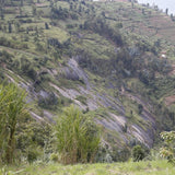 Machiazo Kabinanahiru,盧安達西部地區恩戈羅雷羅區(中度烘焙)200g