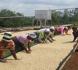 烘豆師推薦! 單品咖啡豆 200g X 3種