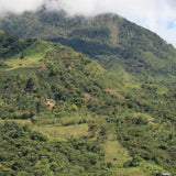 Peru Fespa Farm (medium roast) 200g