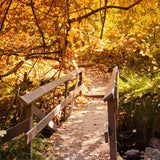 季節のブレンド「琥珀」（中煎）200g