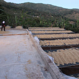 Costa Rica Chilepo Los Crestnes El Alto farmland (medium roast) 200g