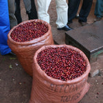 Ethiopia Oromia Region Guji Hambela Gorobedessa Natural (Medium roast) 200g