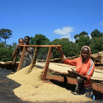 Ethiopia Oromia Region Guji Hambela Gorobedessa Natural (Medium roast) 200g