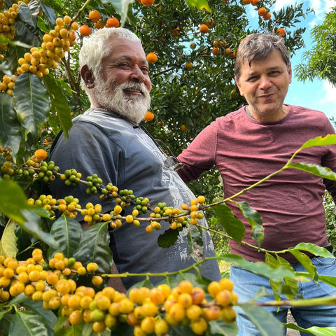 ブラジル・バイーア州ピアタン地区セルカ・デ・ペドラ・サン・ベネディート農園（中煎）200g