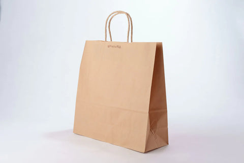 Paper bag (large, for household items)