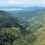 哥斯大黎加 Taras Chiripo Donmajo 富士農地（深度烘焙）200g