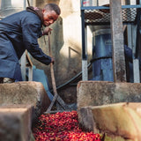 タンザニア・アルーシャ・カラツ県・ハイツ農園ブルーリボン区画ピーベリー（中煎）200ｇ
