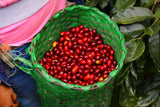 洪都拉斯 Comayagua San Miguel de Serguapa El Pozo（深色烘焙）200 克