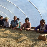 ホンジュラス・インティブカ・ラ・ルス・デ・サンファニーヨ（深煎）200g