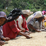 DACAF (decaffeinated) Ethiopia Wote Konga Agricultural Cooperative (medium roast) 200g