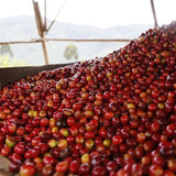Matiazo Murambihir, Ngororero District, Western Region, Rwanda (medium roast) 200g