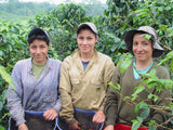 Colombian Norte de Santander El Roble Plantation (dark roast): 200g