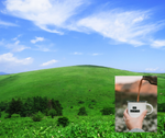 Seasonal blend "Sousui" (medium roast) 200g